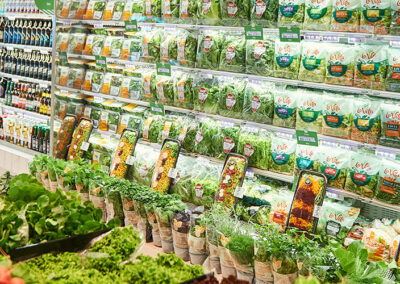 Onde comprar verduras Oba Hortifruti