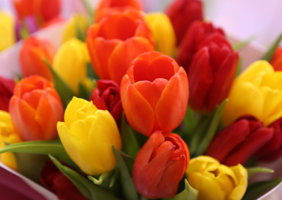Comprar Flores