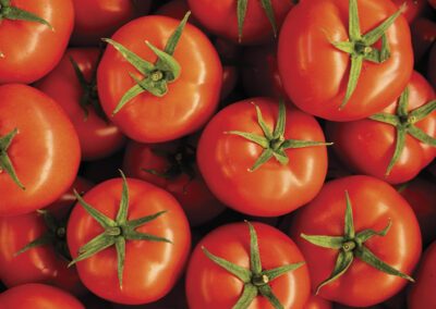 onde comprar tomate